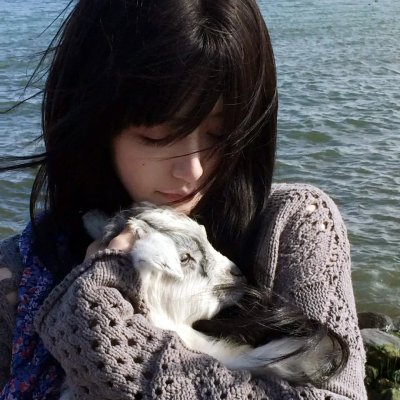 警犬来啦